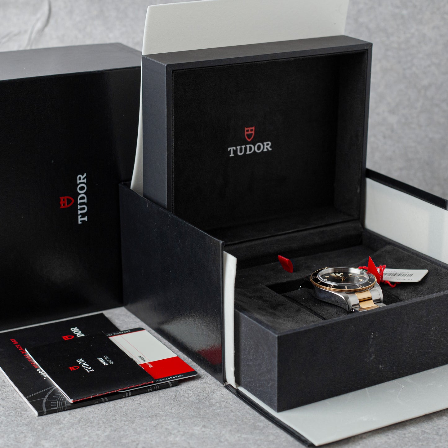 TUDOR BLACK BAY S&G REF: 79733N