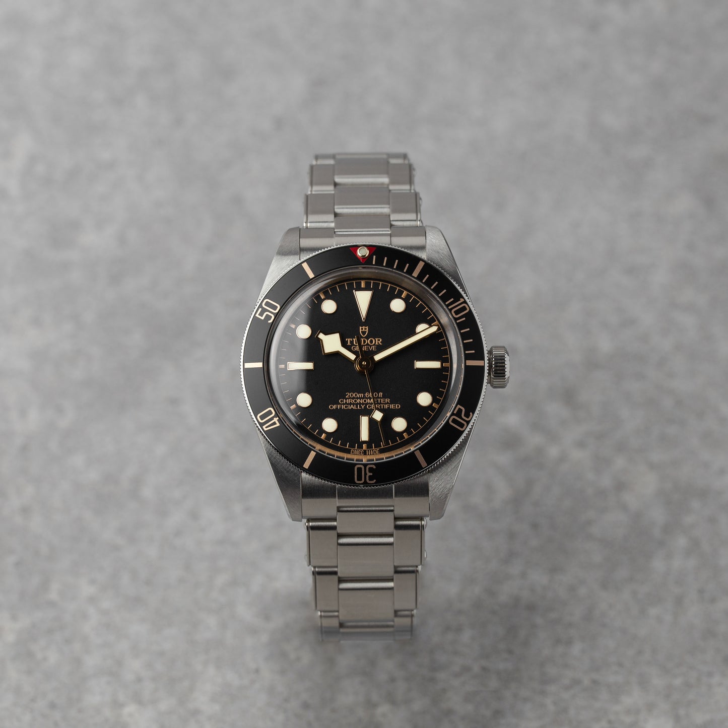 TUDOR BLACK BAY 58