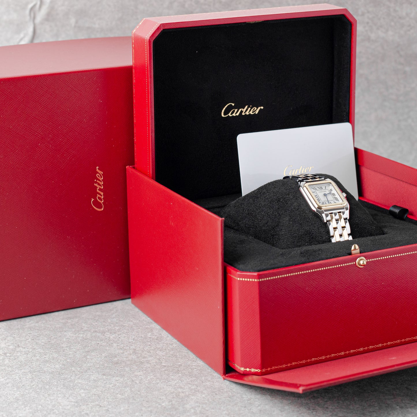 CARTIER PANTHERE MEDIUM S&G REF: W2PN0019 (2025)