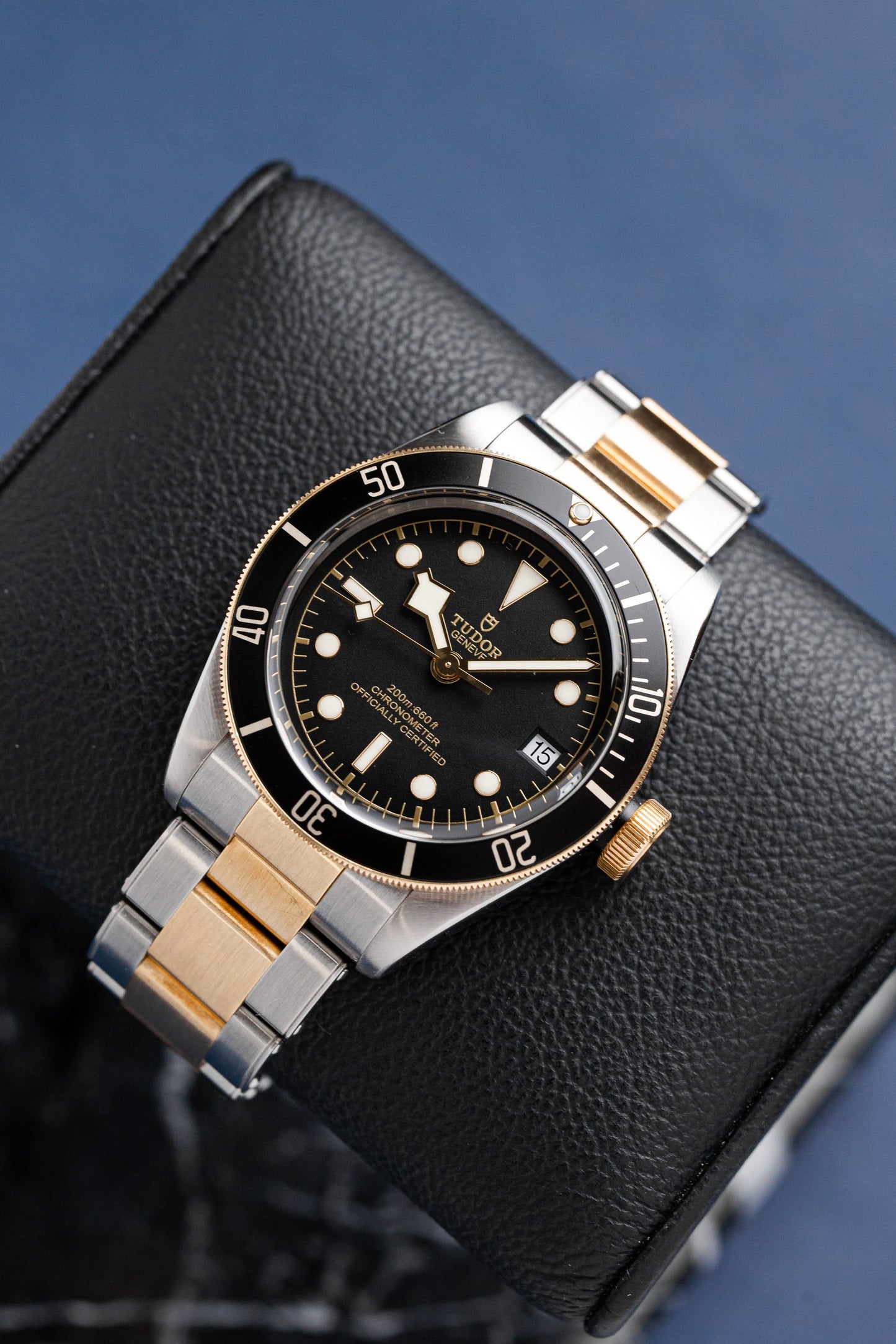 TUDOR BLACK BAY S&G REF: 79733N