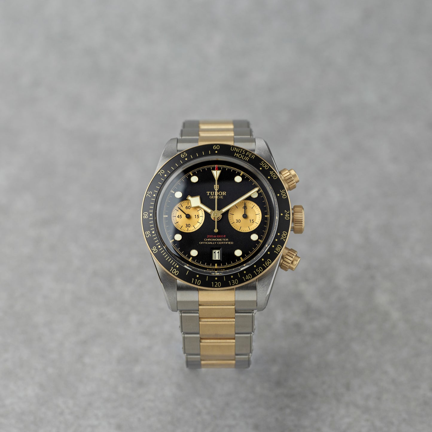 TUDOR BLACK BAY CHRONO S&G REF: 79363N