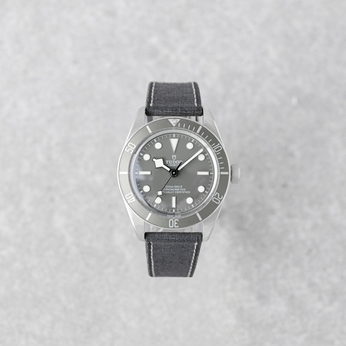 TUDOR BLACK BAY 58 925 SILVER REF: M79010SG