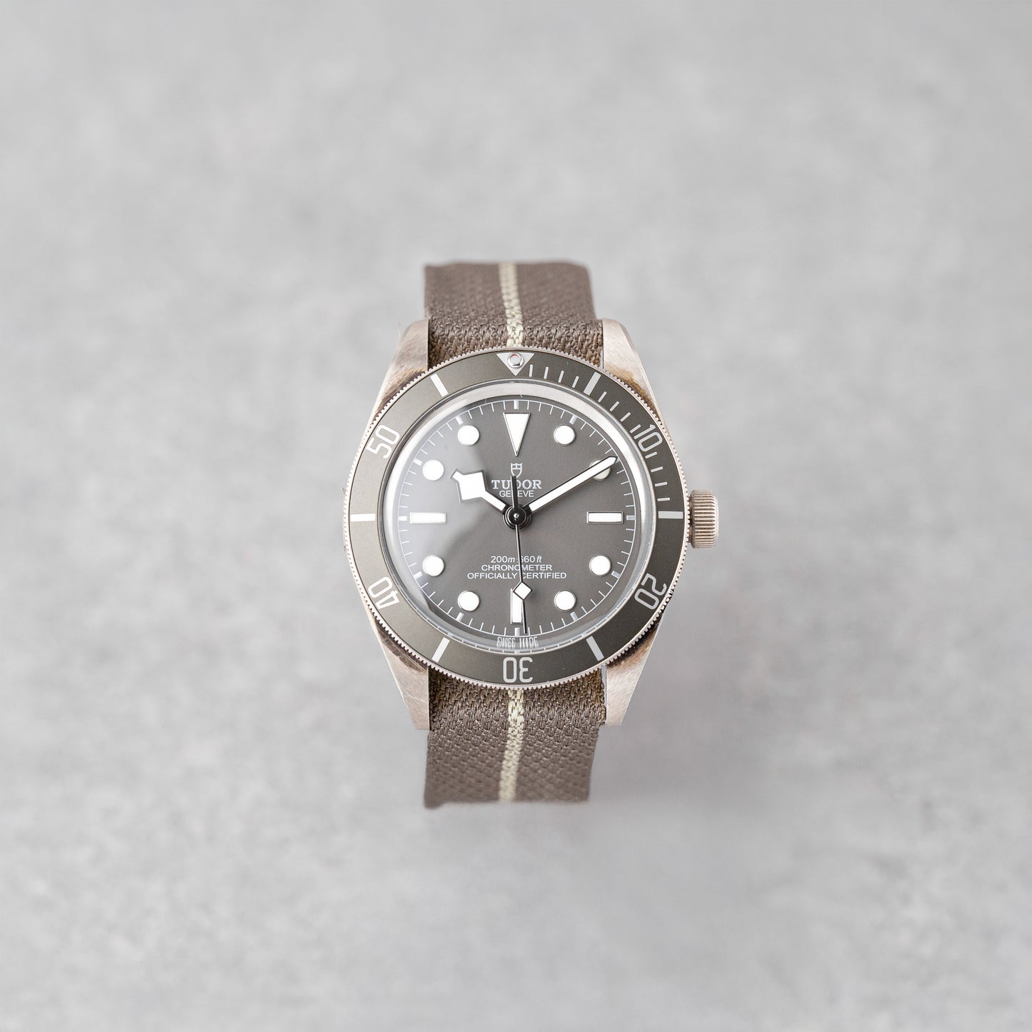 TUDOR BLACK BAY 58 925 REF: M79010SG (2021)