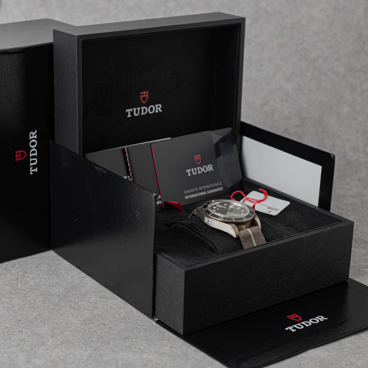 TUDOR BLACK BAY 58 925 REF: M79010SG (2021)